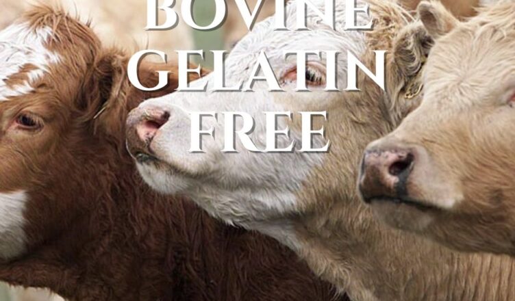 bovine gelatin bse free meaning