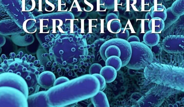 disease free certificate