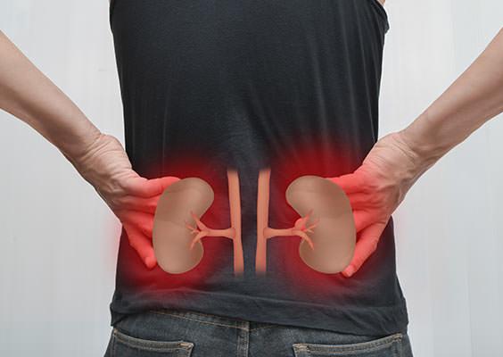 kidney disease symptoms