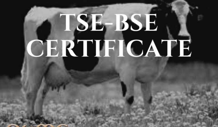 tse-bse certificate